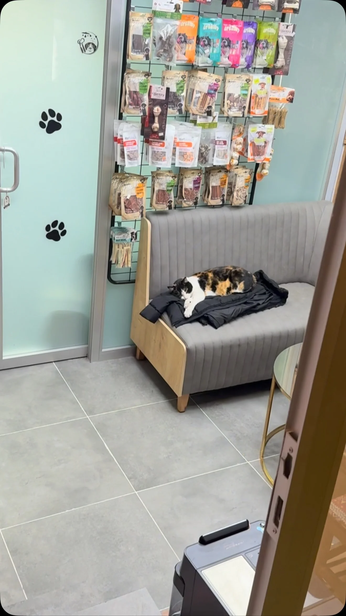 Pet Shop — ürünler ve kedi